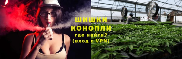 скорость Алзамай