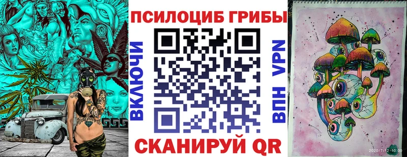 Псилоцибиновые грибы мицелий  блэк спрут ТОР  Шуя 