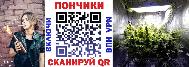 это телеграм  Шуя  Канабис SATIVA & INDICA 
